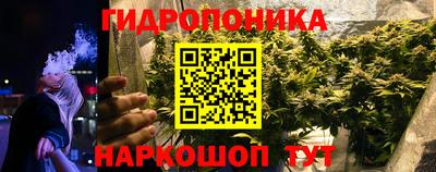 крисы Будённовск