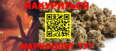 крисы Будённовск