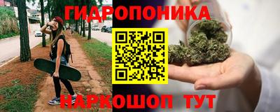 крисы Будённовск