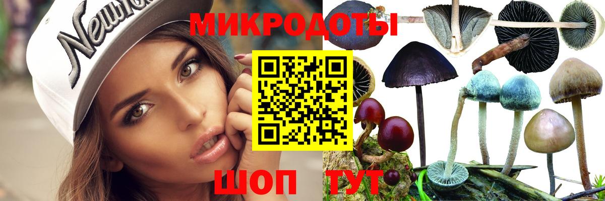 Галлюциногенные грибы ЛСД Новоалександровск