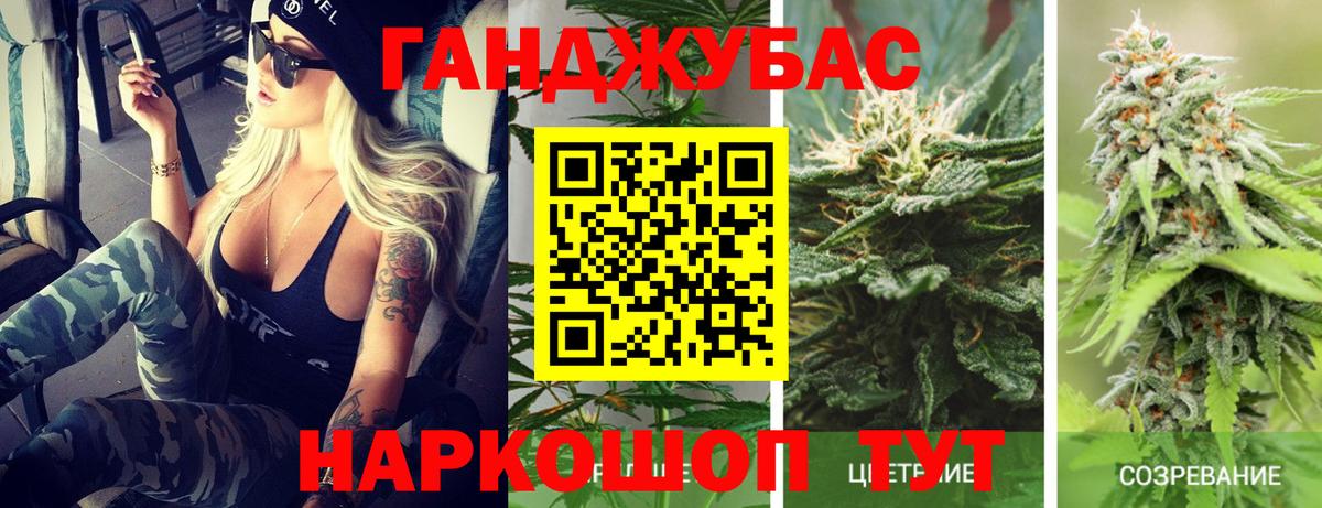 Канабис семена Новоалександровск